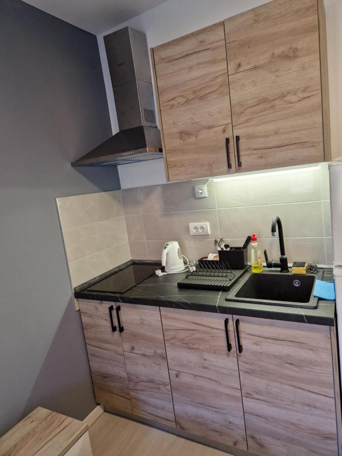Sofia Apartment Sajmiste 外观 照片